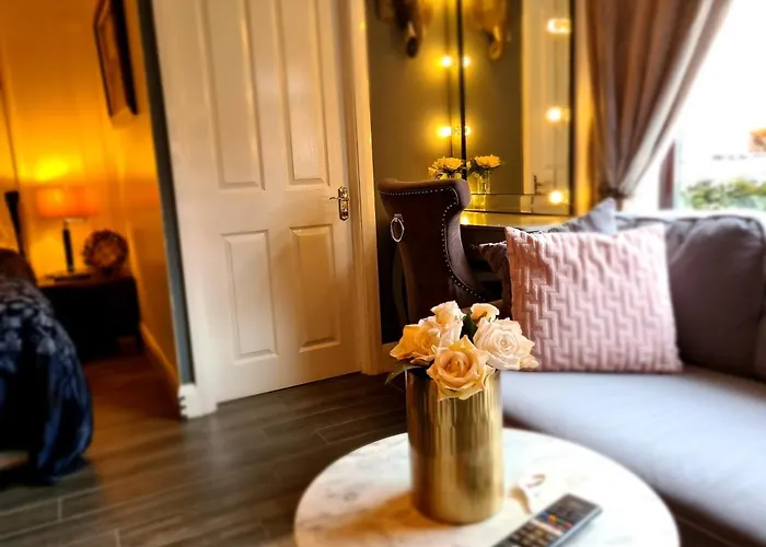Belfast Cosy Cabin