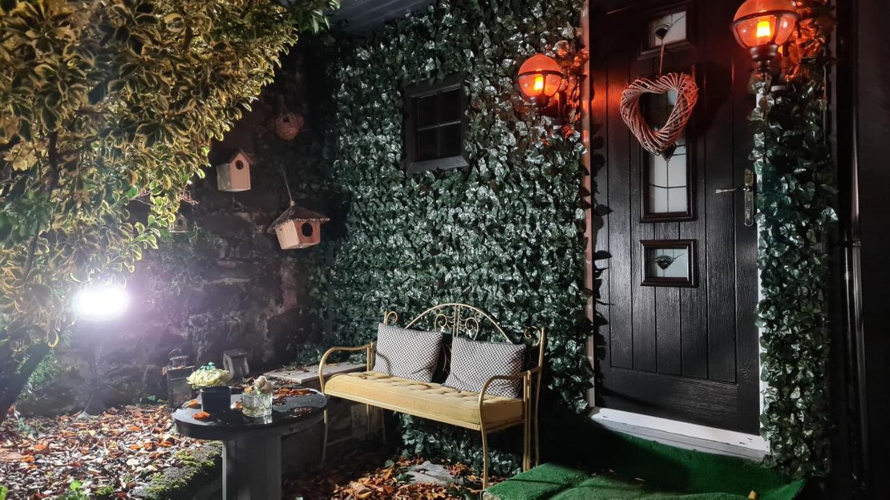 Cosy Belfast