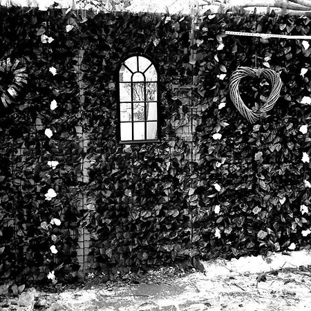 Belfast Cosy Cabin Exterior photo