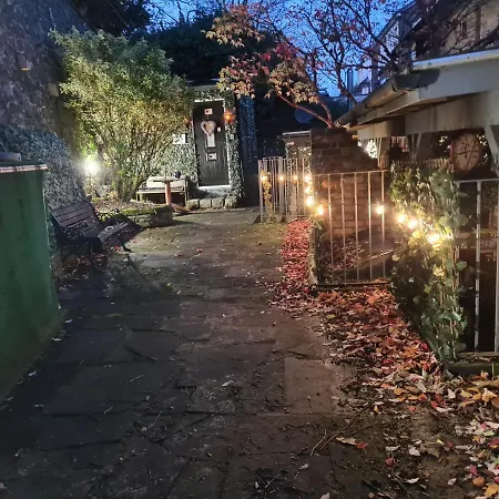 Belfast Cosy Cabin Exterior photo